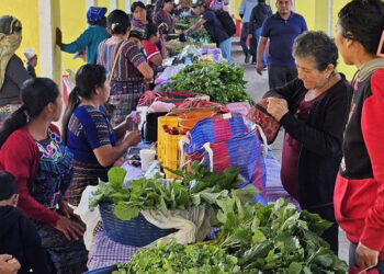 Feria del Agricultor brinda oportunidades comerciales en Baja Verapaz
