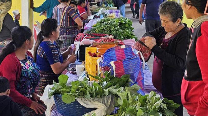 Feria del Agricultor brinda oportunidades comerciales en Baja Verapaz