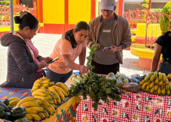 Feria del Agricultor impulsa a los pequeños agricultores de San Marcos