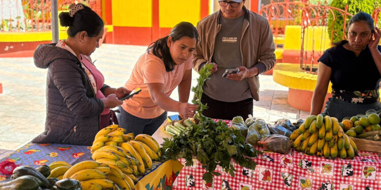 Feria del Agricultor impulsa a los pequeños agricultores de San Marcos