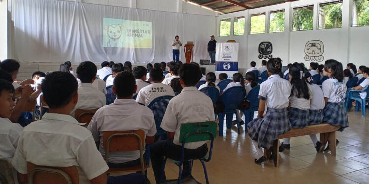 Fomentan una cultura de respeto y protección animal en Petén