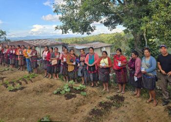 Fortalecemos la agricultura familiar de Quiché con la entrega de semillas de hortalizas