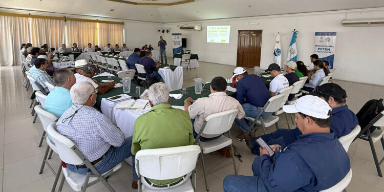 Fortalecen acciones para una agricultura sostenible y resiliente en Petén
