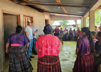 Fortalecen seguridad alimentaria en San Francisco, Petén