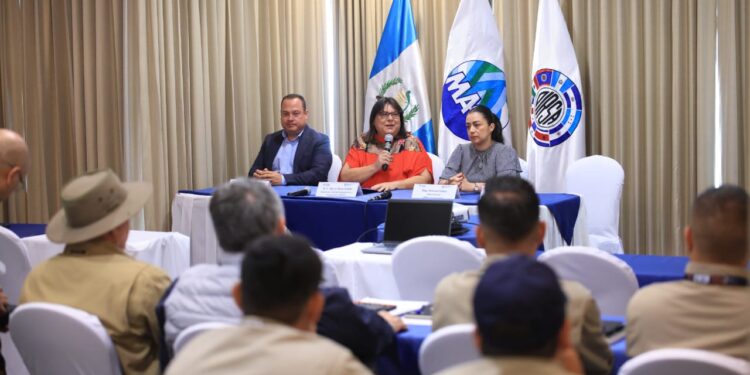 Guatemala fortalece medidas sanitarias y fitosanitarias
