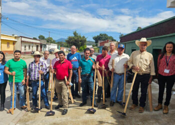 Hortalizas que nutren hogares y fortalecen la agricultura familiar