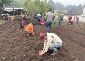 Huerto comunal en San Marcos promueve la seguridad alimentaria y desarrollo rural