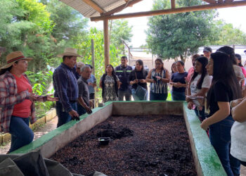 Huertos escolares igual a educación, nutrición y sostenibilidad en las aulas