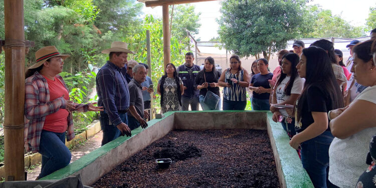 Huertos escolares igual a educación, nutrición y sostenibilidad en las aulas