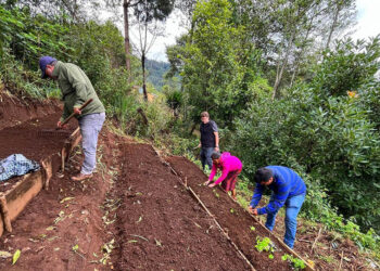 Huertos productivos fortalecen medios de vida en Colotenango