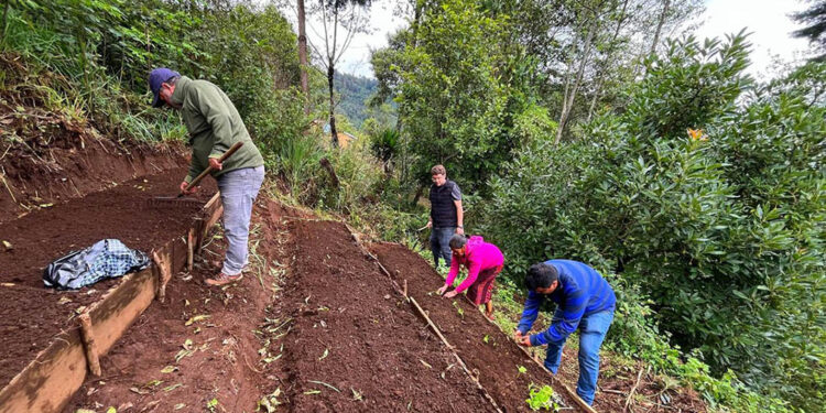 Huertos productivos fortalecen medios de vida en Colotenango