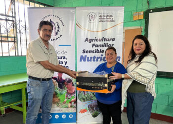 Impulsan huertos escolares para fortalecer la educación y la seguridad alimentaria