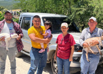 Impulsan mejoramiento genético caprino en Cabañas