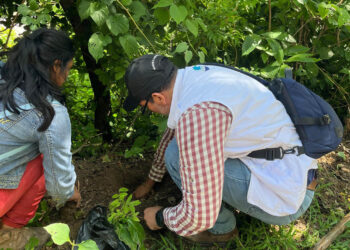 Impulsan recuperación de cobertura vegetal en San José La Arada, Chiquimula