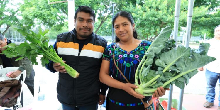 Impulso a la economía local con la realización de 83 Ferias del Agricultor