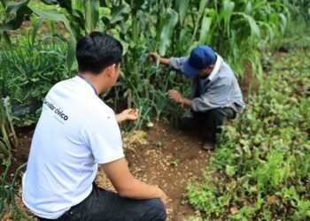 Jóvenes son clave para el extensionismo rural