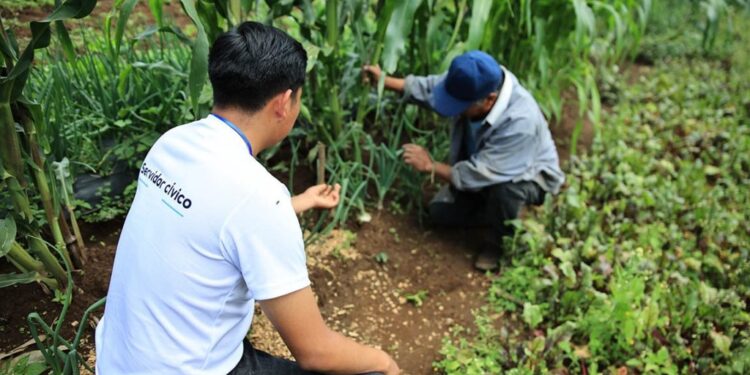 Jóvenes son clave para el extensionismo rural