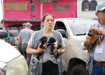 La UBA decomisa 13 perros víctimas de negligencia