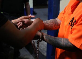 Labor de inteligencia permite decomiso en cárcel Renovación I