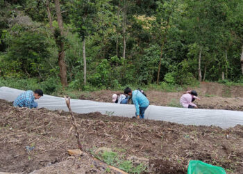 Mano a Mano impulsa el desarrollo de Chiquimula con los huertos comunales