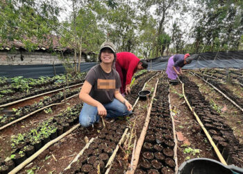 Más de 36 mil jóvenes transforman sus comunidades a través de la extensión rural