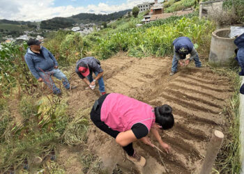 Mejora de hábitos alimentarios apoya la seguridad alimentaria en Totonicapán