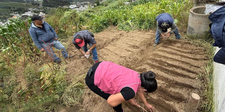 Mejora de hábitos alimentarios apoya la seguridad alimentaria en Totonicapán