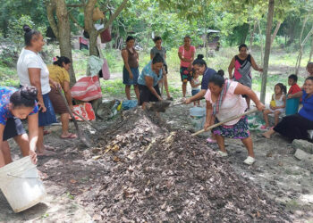 Mujeres del CADER se capacitan para mejorar la productividad agrícola