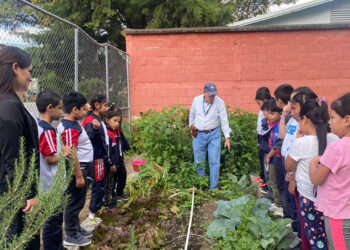 Niños aprenden de nutrición y agricultura en el huerto escolar