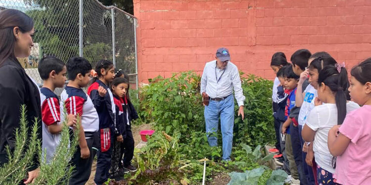 Niños aprenden de nutrición y agricultura en el huerto escolar