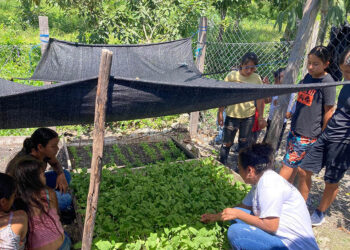 Niños transforman alimentos que ellos mismos cultivan
