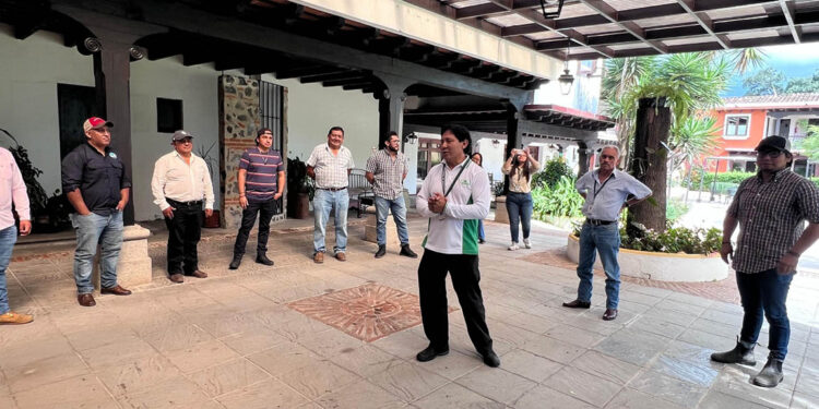 Optimizan capacidades de extensionistas en prácticas forestales