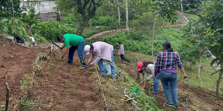 Optimizan espacios para la formación de agricultores del CADER