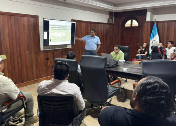 Petén avanza hacia una ganadería más sostenible y productiva