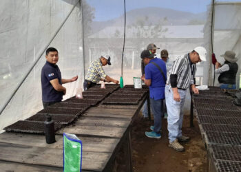 Pilones brindan más oportunidades a productores de Totonicapán