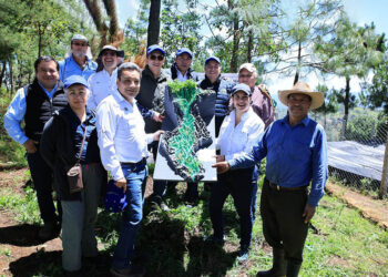 Prácticas sostenibles transforman producción agrícola en Totonicapán