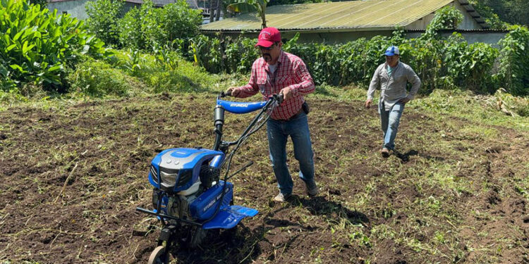 Preparan suelos para banco de semillas en Suchitepéquez