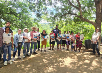 Producción de frijol de El Progreso se fortalece con semilla de calidad