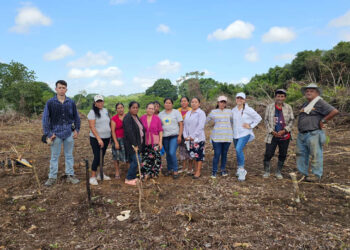 Productores de El Chal reciben insumos agrícolas