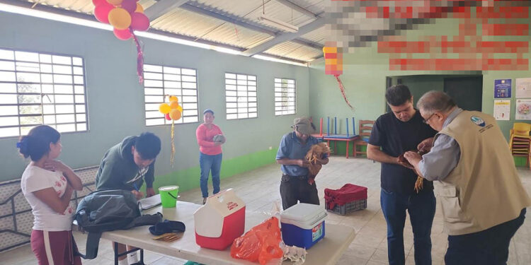 Realizan jornada de vacunación de aves en Villa Nueva