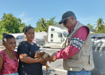 Realizan vacunación preventiva de aves de traspatio en Escuintla