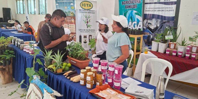 Se lleva apoyo técnico y agrícola a las comunidades de Ixcán