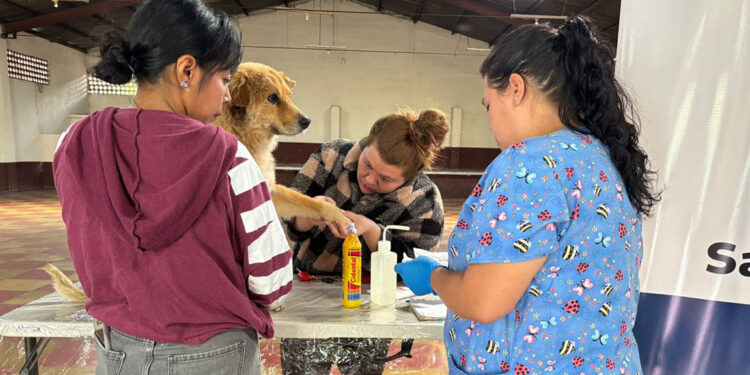 UBA realiza jornada de atención contra el Gusano Barrenador en Sacatepéquez