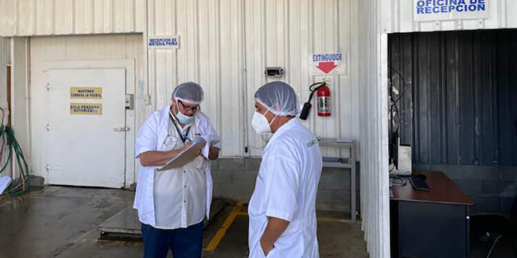 Verifican cumplimiento de normativas en planta procesadora de vegetales