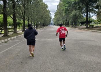 Tu gimnasio al aire libre: Descubre la calzada del Campo Marte