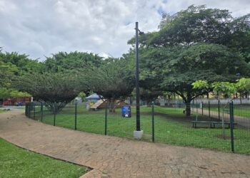 Guía completa: Horarios de parque gratuito para mascotas en el Centro Deportivo Campo Marte