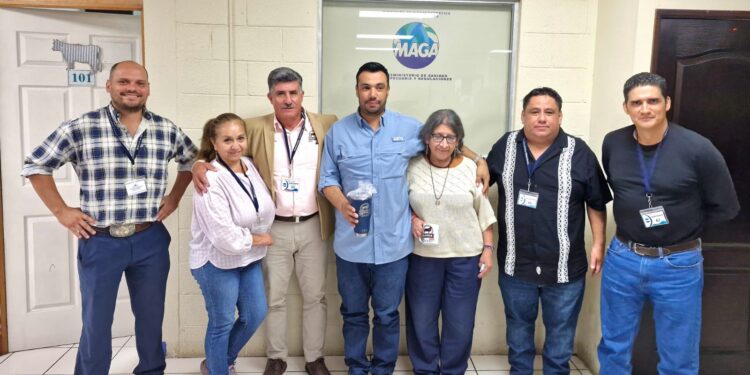 Guatemala abre camino a la importación de genética ovina mexicana