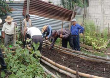 Día de Campo en San Pedro Ayampuc: fortaleciendo las prácticas agrícolas