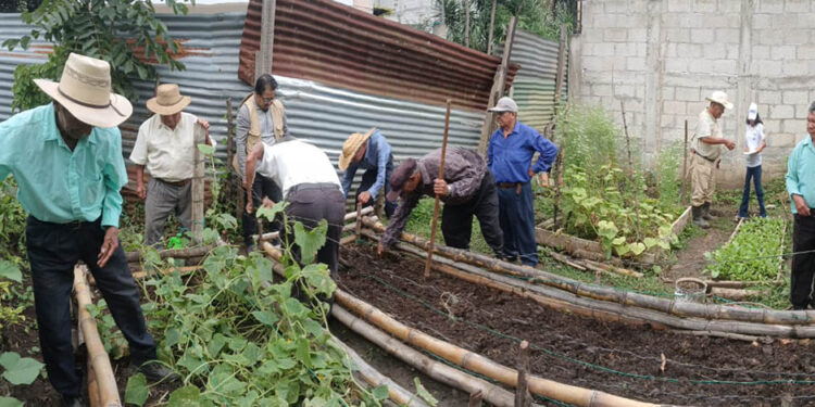 Día de Campo en San Pedro Ayampuc: fortaleciendo las prácticas agrícolas