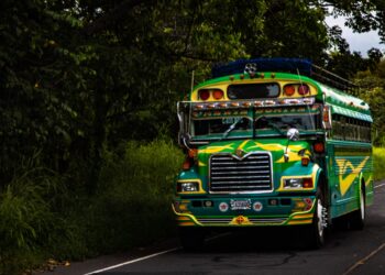Conduce con precaución: tu responsabilidad también celebra la Independencia